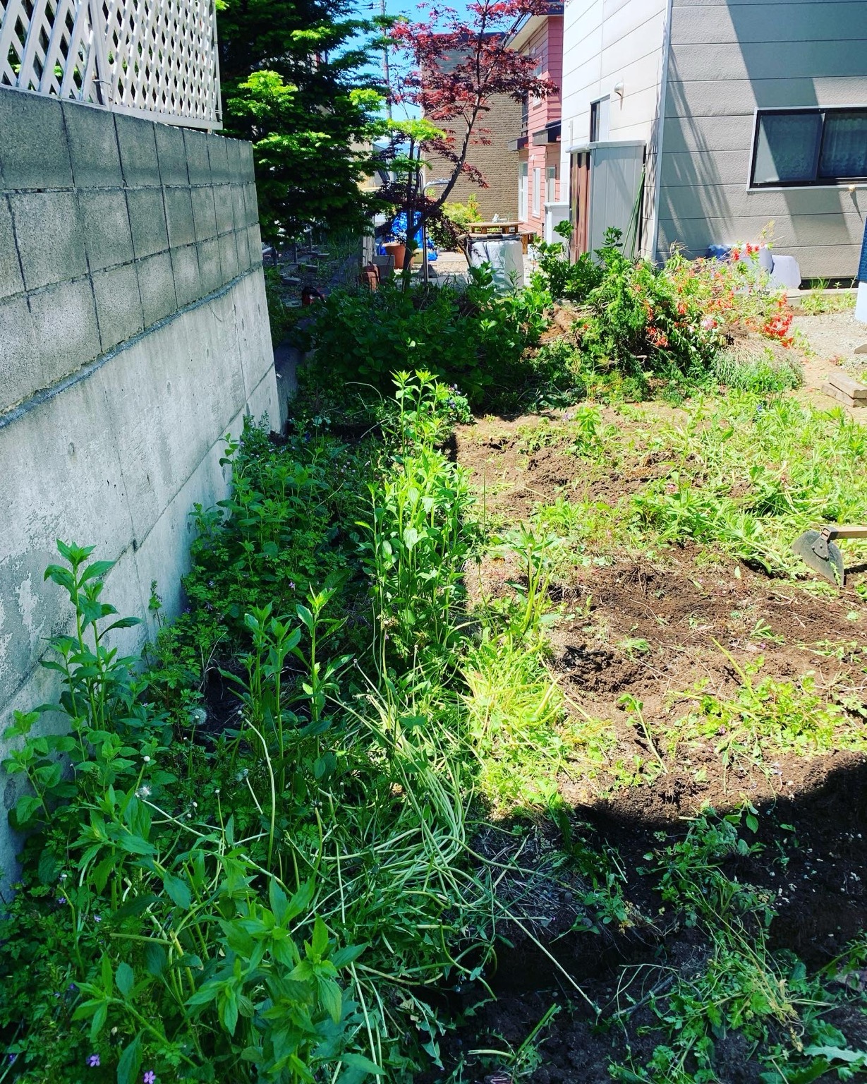 住宅のお庭の施工前。土が露出し雑草が生えた状態